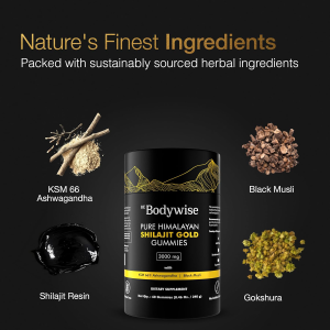 Be Bodywise Pure Himalayan Shilajit Gold - 60 Gummies, 240gm