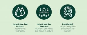 Innisfree Green Tea Seed Serum - 80ml