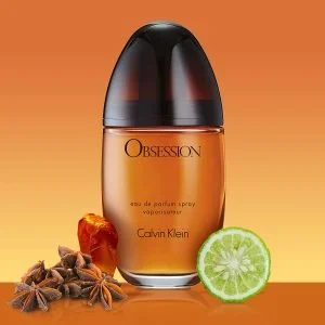 Calvin Klein Obsession Eau de Parfum Spray - 100ml