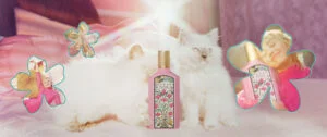 Gucci Flora Gorgeous Gardenia EDP - 100ml