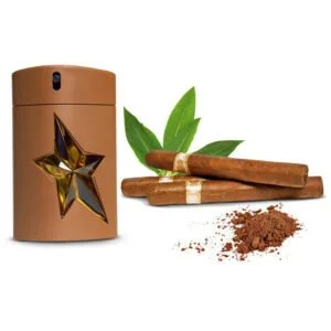what are the short term effects of tobacco use Smoking effects