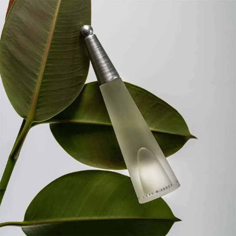 Issey Miyake L’eau D’issey EDT - 100ml