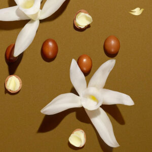 Dove Shea Butter Beauty Bar Soap - 135gm