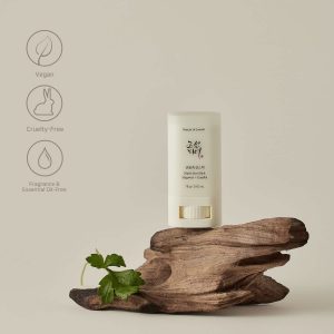Beauty of Joseon Matte Sun Stick Mugwort+Camelia SPF50 Plus 18g