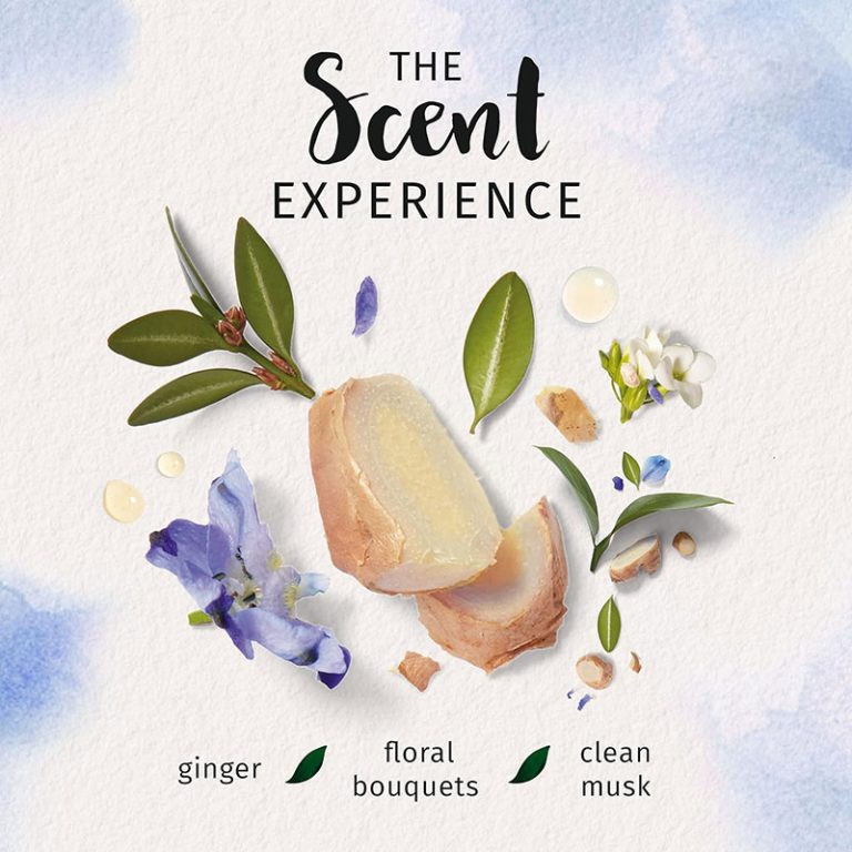 Herbal Essences Blue Ginger & Micellar Water Shampoo - 400ml