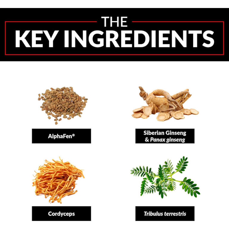 FORCE FACTOR TESTOSTERONE BOOSTERS TEST X180 LEGEND - 120 CAPSULES