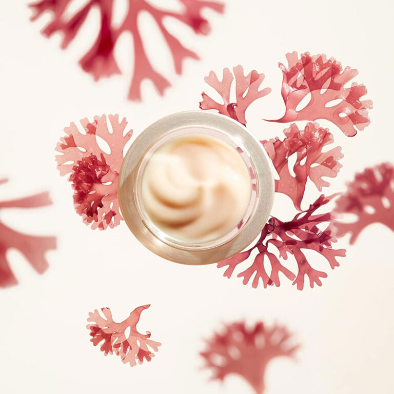 Shiseido Benefiance Wrinkle Smoothing Cream - 50 mL