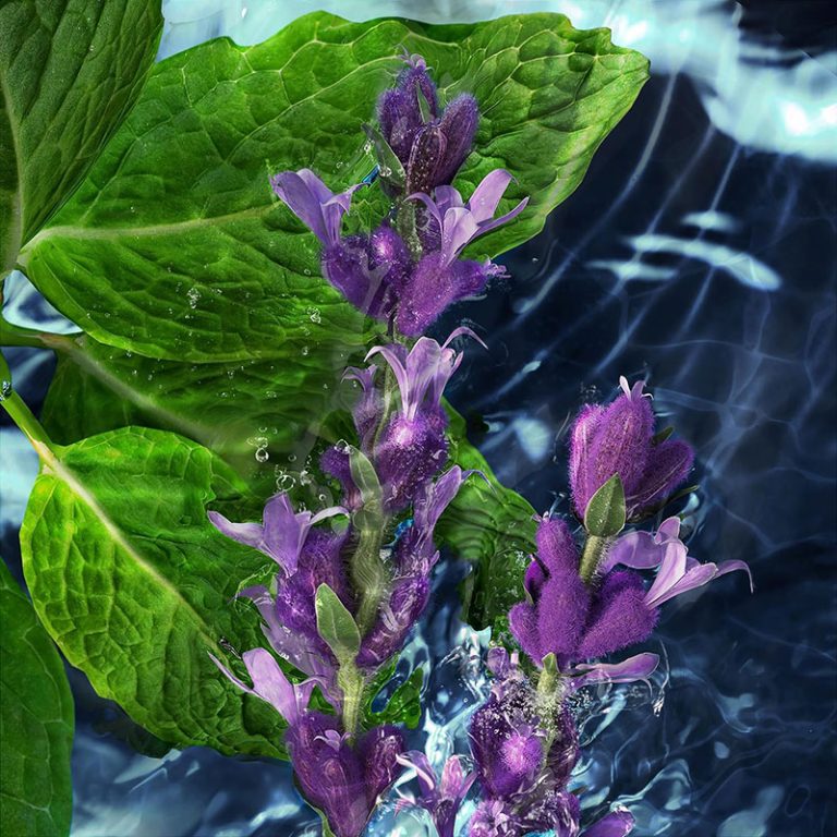 Davidoff Cool Water After Shave - 125ml