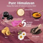 VIFSSG Pure Himalayan Shilajit Gold 3000mg - 60 Gummies