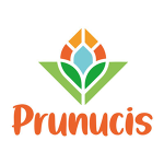 Prunucis