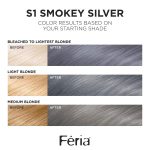 L'Oreal Paris Feria Multi-Faceted Shimmering Permanent Hair Color S1 Smokey Silver
